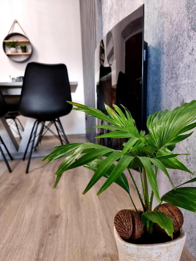 Apartament Jelonek W Karkonoszach Jelenia Góra Extérieur photo