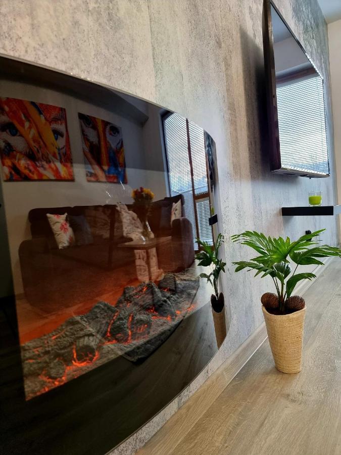 Apartament Jelonek W Karkonoszach Jelenia Góra Extérieur photo