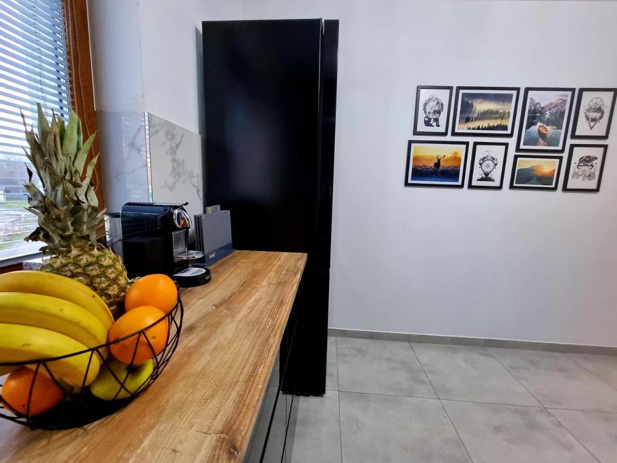 Apartament Jelonek W Karkonoszach Jelenia Góra Extérieur photo