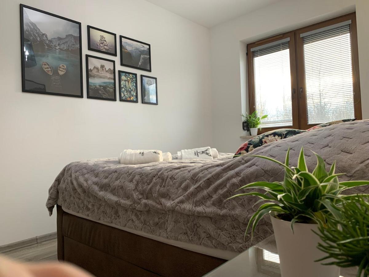 Apartament Jelonek W Karkonoszach Jelenia Góra Extérieur photo